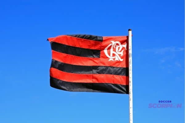 Flamengo se reapresenta no Ninho e é recebido de forma surpreendente